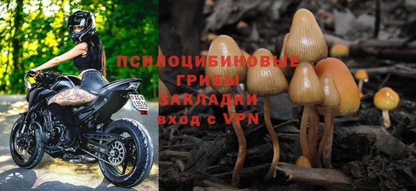 дмт Покров