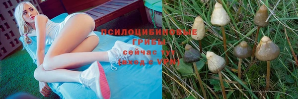 дмт Покров
